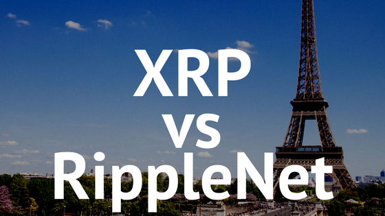 XRP vs RippleNet|ホルダーが知るべきXRPの将来性